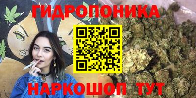 прущие крисы Лесосибирск