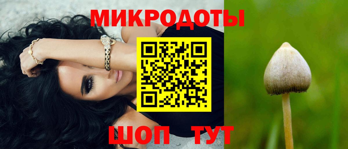 Галлюциногенные грибы Cubensis  Вход с VPN  Унеча 